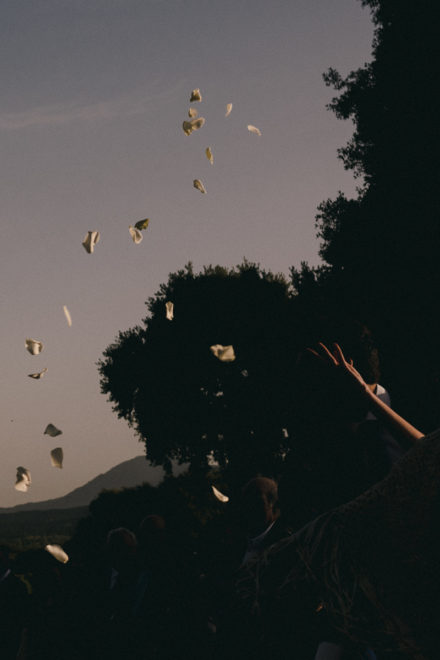 Artistic photograph of wedding guests throwing petals at sunset.